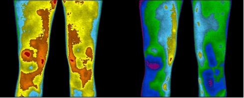 earthing_1_489 earthing_1_489